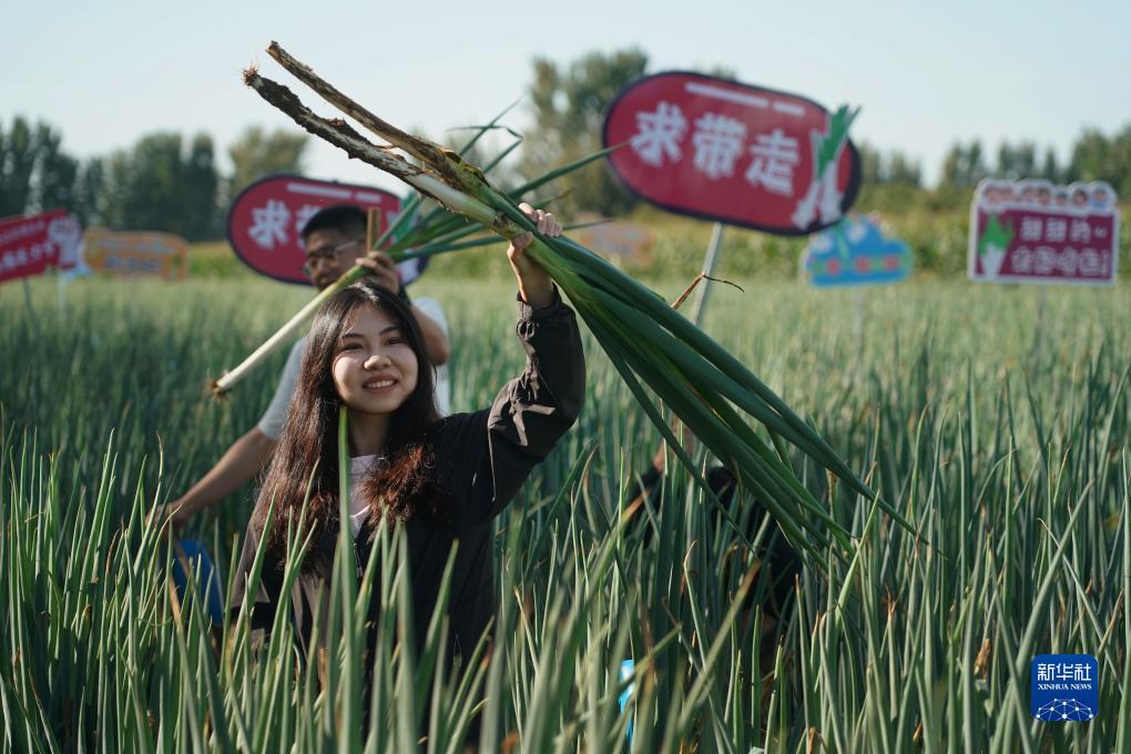 验证手机自动送彩金59